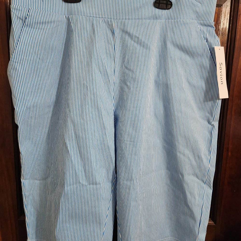 Savion Shorts pants
